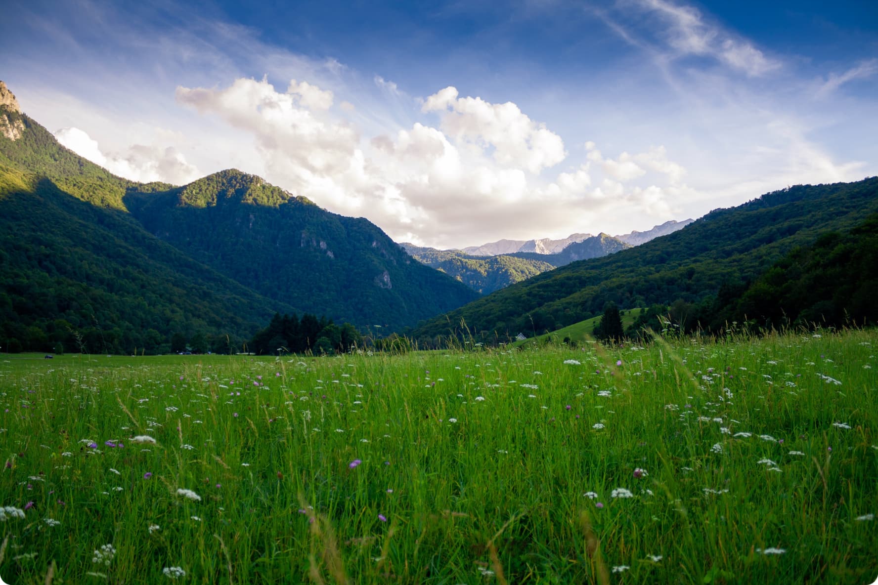 667d42a0ee086recursos_header_low.jpg